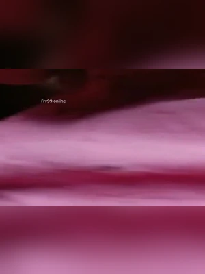 Viral Jija Saali Sex Video MMS