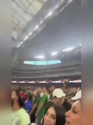 FIFA world cup