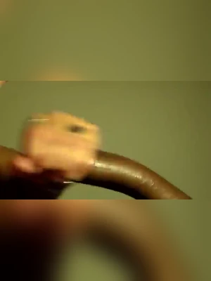 Ass, pussy, tits and face.  Your wife and/or girlfriend is fully exposed ...