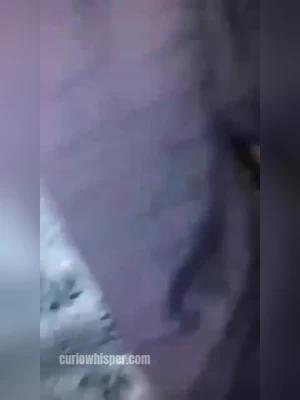 Couple caught by locals